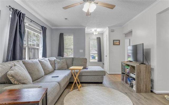 403 Joel Ct, Newport News, VA 23608 - living room with a textured ceiling, light wood finished floors, ceiling fan, baseboards, and ornamental molding