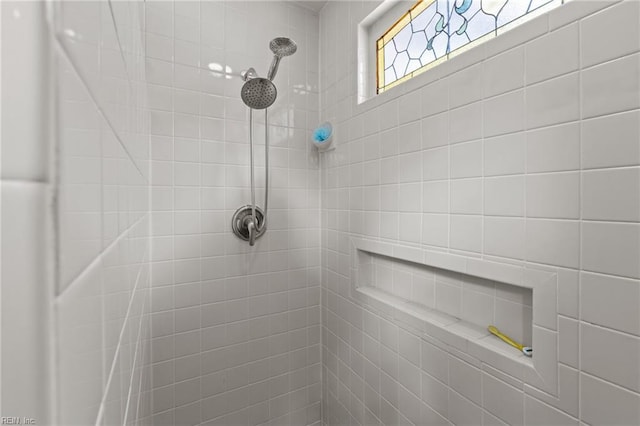 224 Iroquois Rd, Virginia Beach, VA 23462 - bathroom view of tiled shower