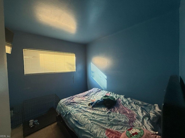 3904 Starboard Rd, Chesapeake, VA 23321 - bedroom with carpet