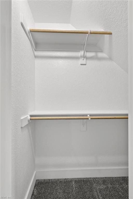 1064 Tulls Creek Rd, Moyock, NC 27958 - view of walk in closet