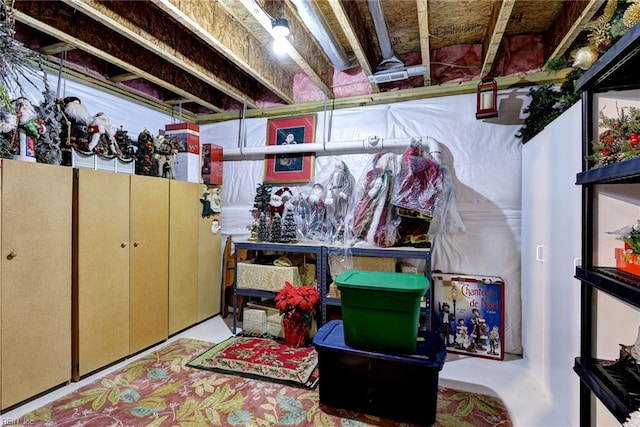 3907 Ethan Ln, Williamsburg, VA 23188 - view of storage
