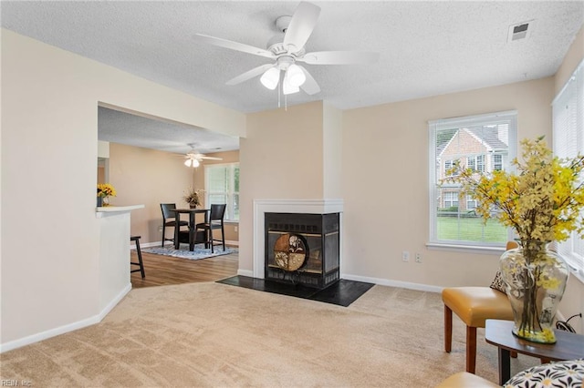 5113 Thatcher Way, Virginia Beach, VA 23456 - carpeted living room featuring ceiling fan, a textured ceiling, healthy amount of natural light, baseboards, and a multi sided fireplace