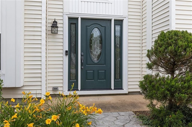 401 Fire Box Ct, Chesapeake, VA 23323 - view of property entrance