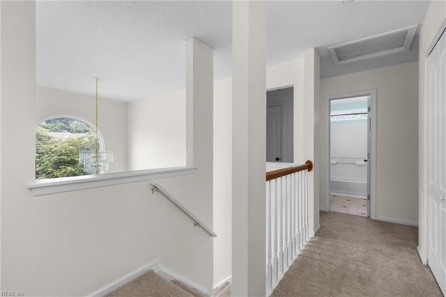 401 Fire Box Ct, Chesapeake, VA 23323 - hall featuring plenty of natural light, carpet floors, an upstairs landing, and baseboards