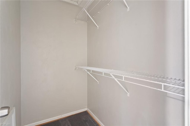 6218 Whaley Ct, Norfolk, VA 23502 - view of spacious closet
