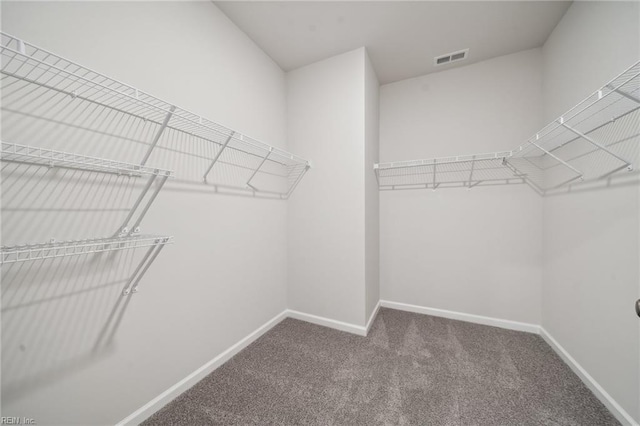 3032 Dalton Cir, Suffolk, VA 23435 - spacious closet featuring carpet