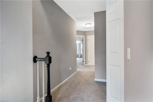 189 Shoal Crk, Williamsburg, VA 23185 - hallway featuring carpet flooring, attic access, and baseboards