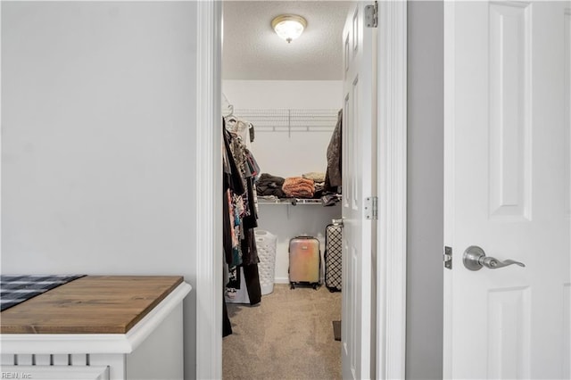 189 Shoal Crk, Williamsburg, VA 23185 - spacious closet featuring carpet