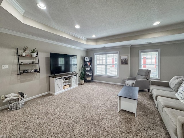 5541 Frog Pond Ln, Virginia Beach, VA 23455 - living area featuring crown molding, a tray ceiling, carpet flooring, a textured ceiling, and baseboards