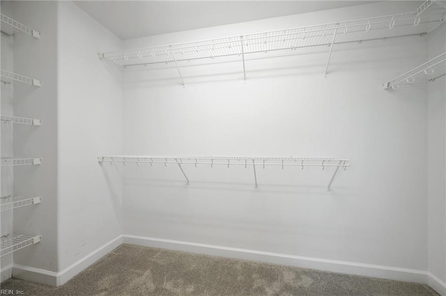1120 Veranda Way, Chesapeake, VA 23320 - walk in closet with carpet flooring