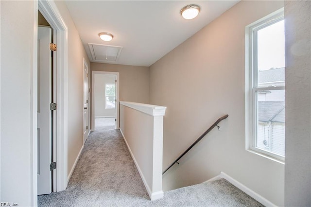 208 Beech St, Suffolk, VA 23434 - hallway with attic access, an upstairs landing, carpet flooring, and baseboards