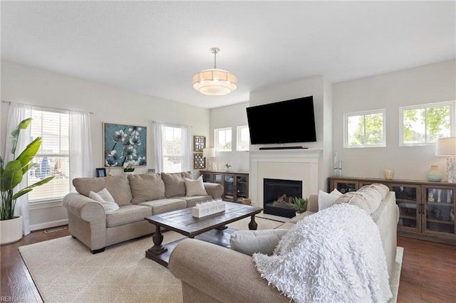 1025 Sullivan Ln, Chesapeake, VA 23322 - living area featuring wood finished floors and a fireplace with flush hearth