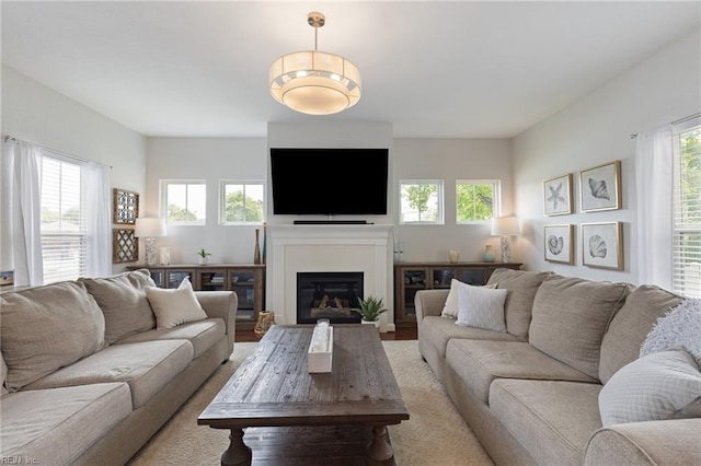 1025 Sullivan Ln, Chesapeake, VA 23322 - living room featuring plenty of natural light and a glass covered fireplace
