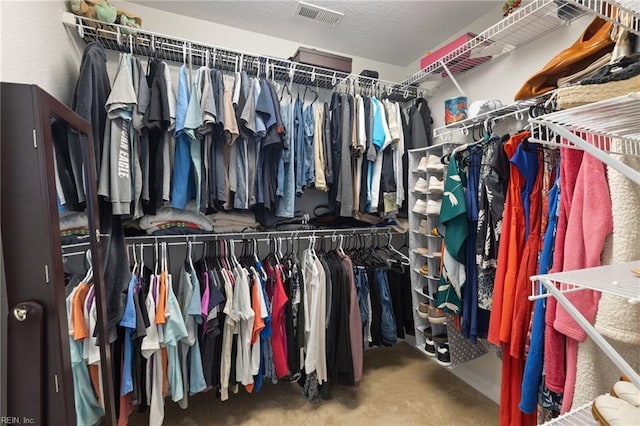 1025 Sullivan Ln, Chesapeake, VA 23322 - walk in closet featuring carpet floors