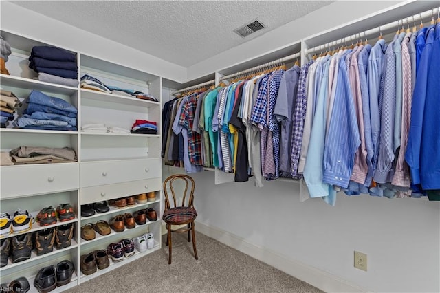 400 Discovery Rd, Virginia Beach, VA 23451 - walk in closet featuring carpet flooring