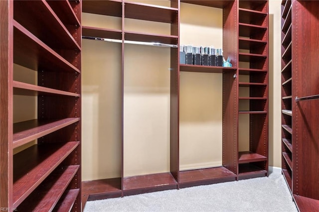 109 Lenora Cv, Smithfield, VA 23430 - walk in closet with carpet floors