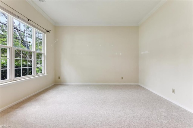 109 Lenora Cv, Smithfield, VA 23430 - spare room with carpet, ornamental molding, and baseboards