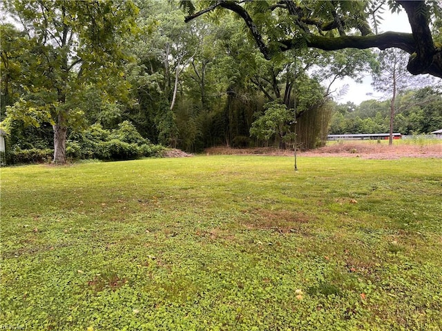 1717 Old Ferry Rd, Hudgins, VA 23076 - view of grassy yard