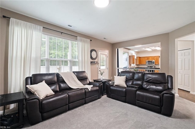 302 Peachwood Ct, Suffolk, VA 23434 - view of carpeted living room