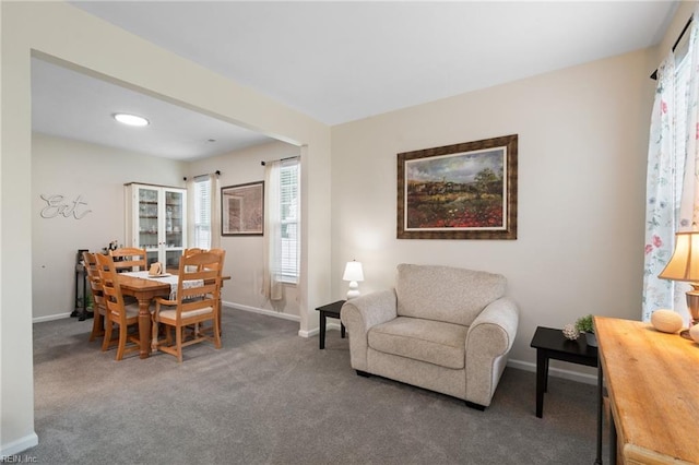 302 Peachwood Ct, Suffolk, VA 23434 - carpeted living room featuring baseboards