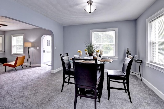 319 Greenbriar Ave, Hampton, VA 23661 - dining room featuring arched walkways, plenty of natural light, and carpet flooring