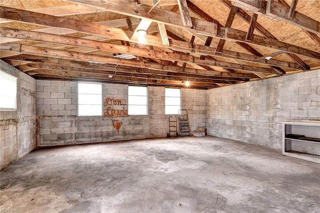 319 Greenbriar Ave, Hampton, VA 23661 - below grade area with concrete block wall
