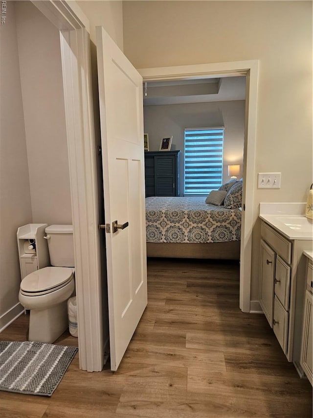 23082 Retreat Ln, Carrollton, VA 23314 - bathroom featuring vanity, toilet, wood finished floors, and connected bathroom