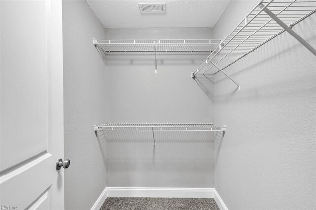 505 Osceola Ave, Suffolk, VA 23434 - walk in closet with carpet floors