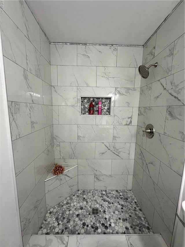 1183 Killington Arch, Chesapeake, VA 23320 - bathroom with a tile shower