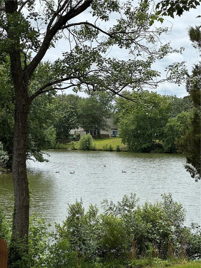1183 Killington Arch, Chesapeake, VA 23320 - water view