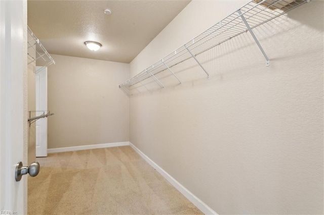 105 Brogden Ct, Hampton, VA 23666 - walk in closet with light carpet