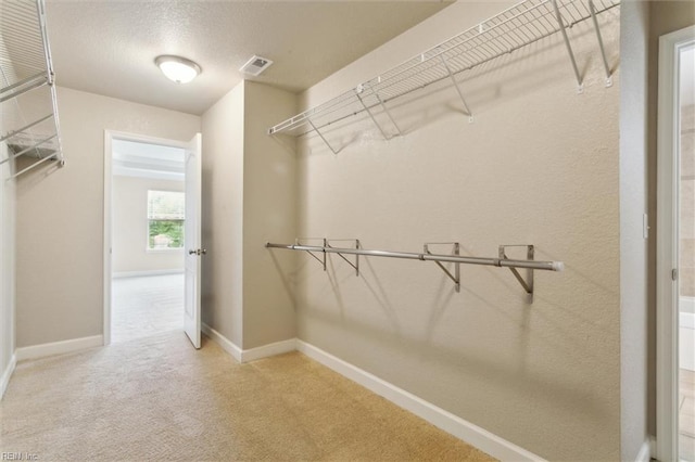 105 Brogden Ct, Hampton, VA 23666 - walk in closet with carpet floors