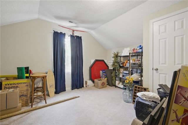 740 Hilda Pine Dr, Chesapeake, VA 23322 - interior space featuring lofted ceiling, carpet floors, and a textured ceiling