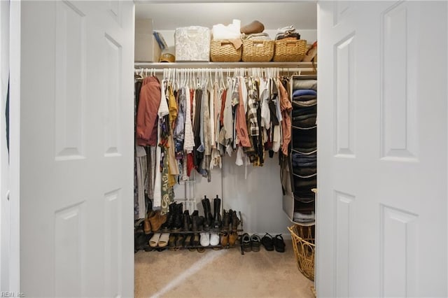 740 Hilda Pine Dr, Chesapeake, VA 23322 - view of closet