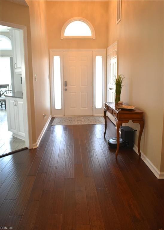 1176 Pond Cypress Dr, Virginia Beach, VA 23455 - foyer entrance with dark wood-type flooring, baseboards, healthy amount of natural light, and a high ceiling