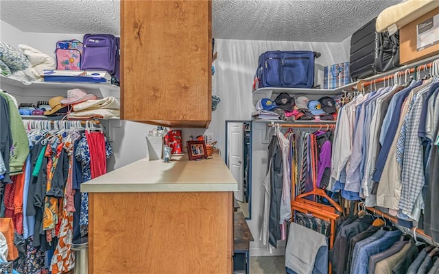 106 Edith Wharton Sq, Newport News, VA 23606 - view of walk in closet