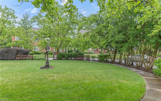 106 Edith Wharton Sq, Newport News, VA 23606 - view of green lawn