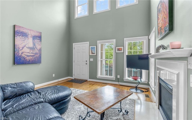 106 Edith Wharton Sq, Newport News, VA 23606 - living area featuring a towering ceiling, a fireplace, baseboards, and wood finished floors