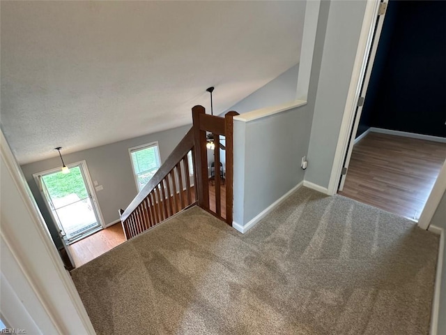 2304 Londale Ct, Virginia Beach, VA 23456 - stairs featuring carpet flooring and baseboards