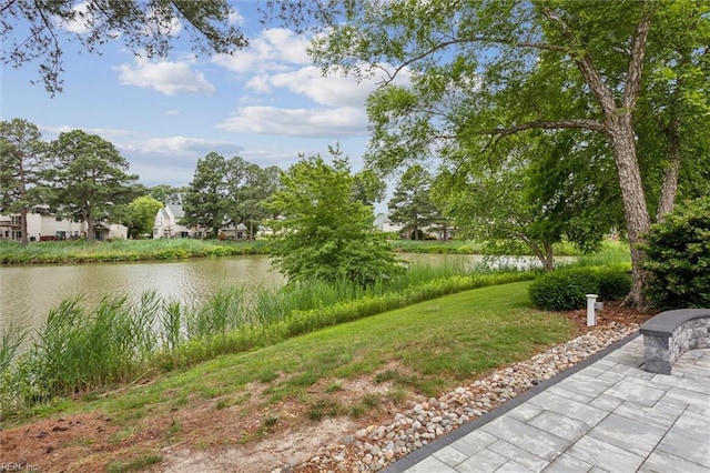 947 Willow Pt, Newport News, VA 23602 - view of yard with a water view