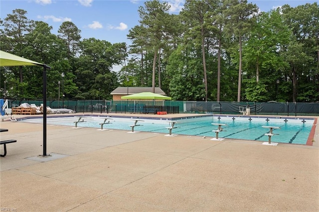 947 Willow Pt, Newport News, VA 23602 - community pool with a patio area and view of wooded area