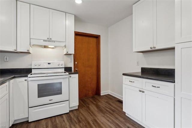 702 Blair Ave, Hampton, VA 23661 - kitchen featuring electric range, under cabinet range hood, and dark countertops