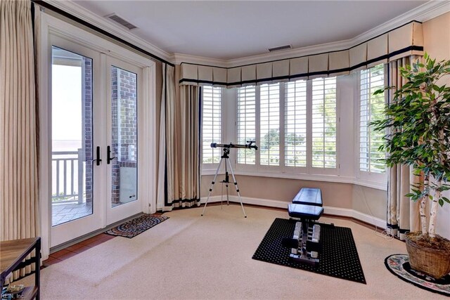 509 River Blfs, Williamsburg, VA 23185 - workout area featuring ornamental molding, carpet floors, healthy amount of natural light, and french doors