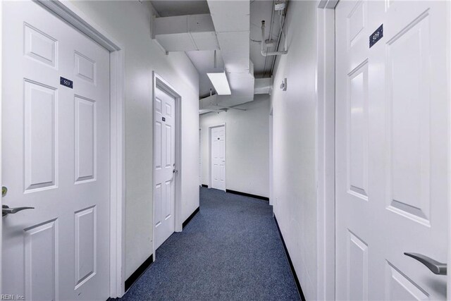 509 River Blfs, Williamsburg, VA 23185 - hallway with carpet flooring
