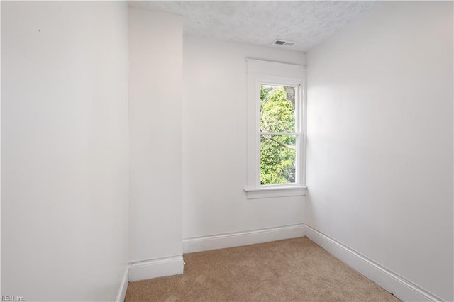 3711 Abingdon Cir, Norfolk, VA 23513 - empty room with light colored carpet, baseboards, and a textured ceiling