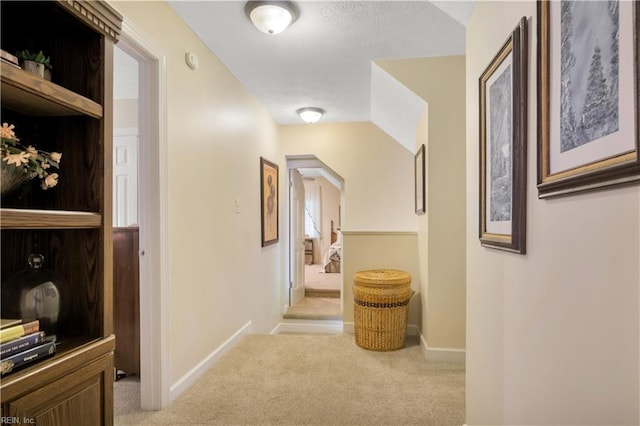 210 John Pott Dr, Williamsburg, VA 23188 - hallway with carpet and baseboards