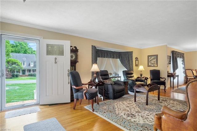 210 John Pott Dr, Williamsburg, VA 23188 - living area featuring light wood-type flooring and ornamental molding