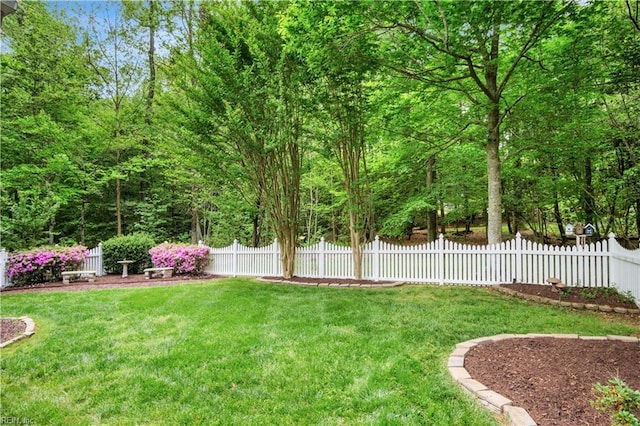 210 John Pott Dr, Williamsburg, VA 23188 - view of yard