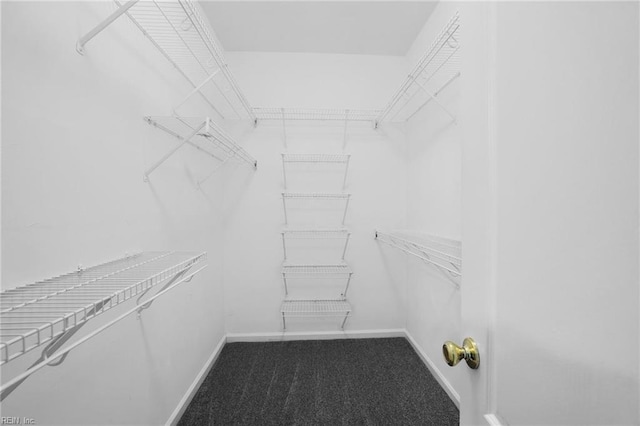 2110 King St, Suffolk, VA 23434 - spacious closet with carpet floors
