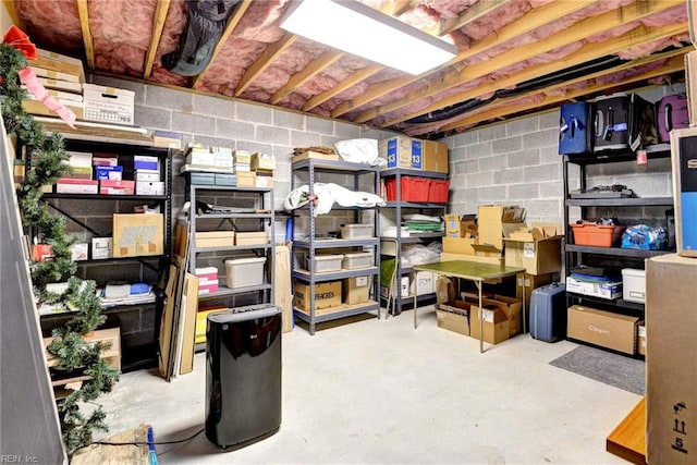 140 Hearthside Ln, Williamsburg, VA 23185 - view of storage room